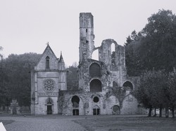 En forêt d'Ermenonville par Jacques