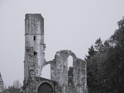 En forêt d'Ermenonville par Jacques