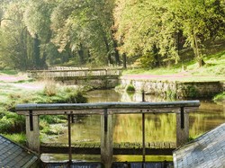 En forêt d'Ermenonville par Jacques