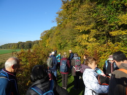 En forêt d'Ermenonville par Jacques