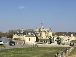En forêt de Chantilly par Sylvie