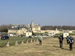 En forêt de Chantilly par Sylvie