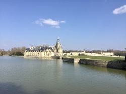 En forêt de Chantilly par Sylvie