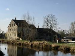 En forêt de Chantilly par Sylvie