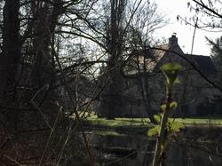 En forêt de Chantilly par Sylvie