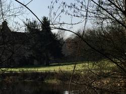 En forêt de Chantilly par Sylvie