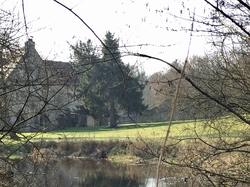 En forêt de Chantilly par Sylvie