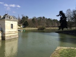 En forêt de Chantilly par Sylvie