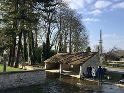 En forêt de Chantilly par Sylvie