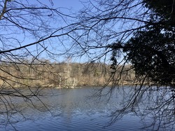 En forêt de Chantilly par Sylvie