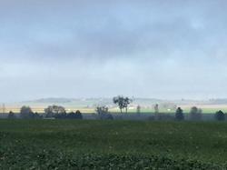 en forêt d'Ermenonville par Sylvie