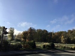 en forêt d'Ermenonville par Sylvie