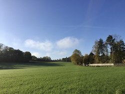 en forêt d'Ermenonville par Sylvie