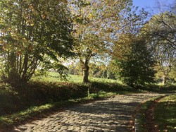 en forêt d'Ermenonville par Sylvie