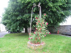 Forêt de Carnelle par Marie-Jo