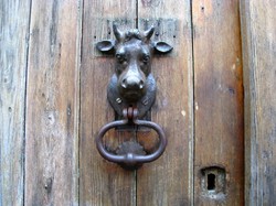 Forêt de Carnelle par Marie-Jo