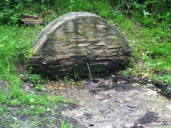 Forêt de Carnelle par Marie-Jo