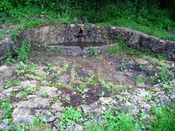 Forêt de Carnelle par Marie-Jo