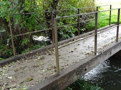 Forêt de Ferrières par Jacques