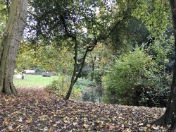 Forêt de Ferrières par Sylvie