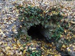 Forêt de Montmorency par Jacques