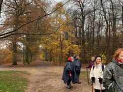 Forêt de Montmorency par Maria