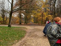 Forêt de Montmorency par Maria