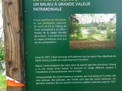 Forêt de Saint-Germain nord par Jacques