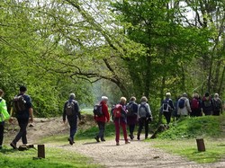 Forêt de Saint-Germain nord par Jacques