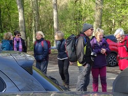 Forêt de Saint-Germain nord par Jacques
