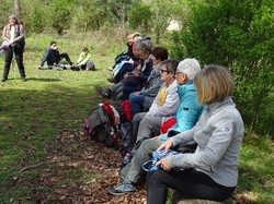 Forêt de Saint-Germain nord par Jacques