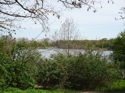 Forêt de Saint-Germain nord par Jacques