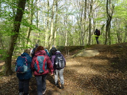 Forêt de Saint-Germain nord par Jacques