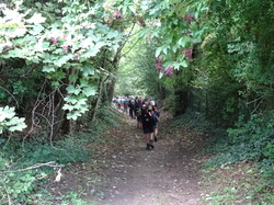 Forêt de l'Isle-Adam par Jacques