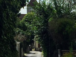 Forêt de l'Isle-Adam par Sylvie