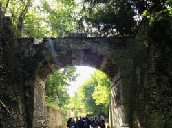 Forêt de l'Isle-Adam par Sylvie
