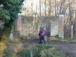 Forêt Notre Dame par JAcques