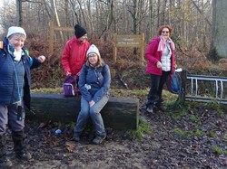 Forêt Notre Dame par JAcques
