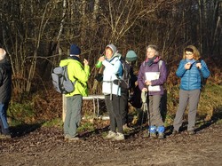 Forêt Notre Dame par JAcques