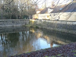 Forêt Notre Dame par JAcques