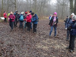Forêt Notre Dame par JAcques