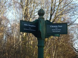 Forêt Notre Dame par JAcques