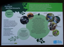 Forêt Notre Dame par JAcques