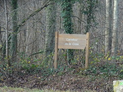 Forêt Notre Dame par JAcques