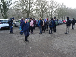 Forêt Notre Dame par JAcques