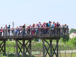 Grande Randonnée par Jacques