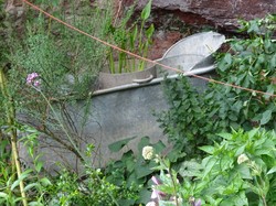 Graufthal et les maisons des rochers par Jacques