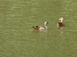 Graufthal et les maisons des rochers par Jacques