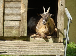 Graufthal et les maisons des rochers par Jacques