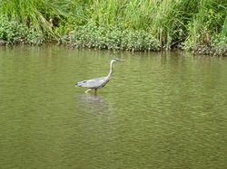 Graufthal et les maisons des rochers par Jacques